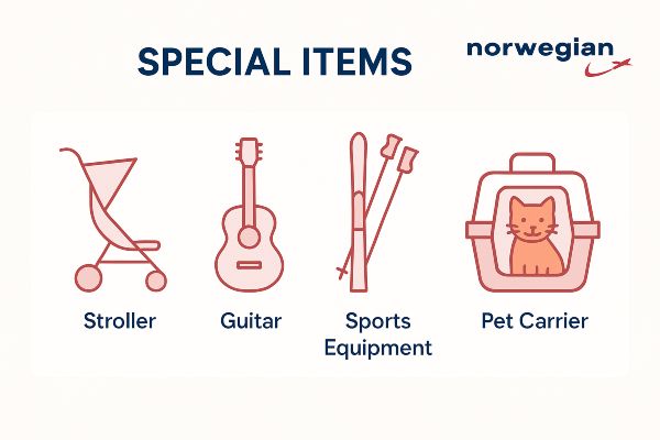 Norwegian airlines special items