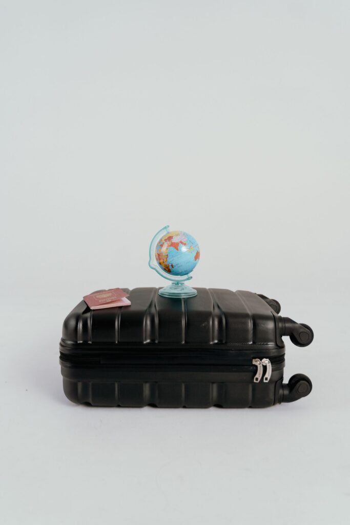 Patagonia Luggage: Review and Buying Guide